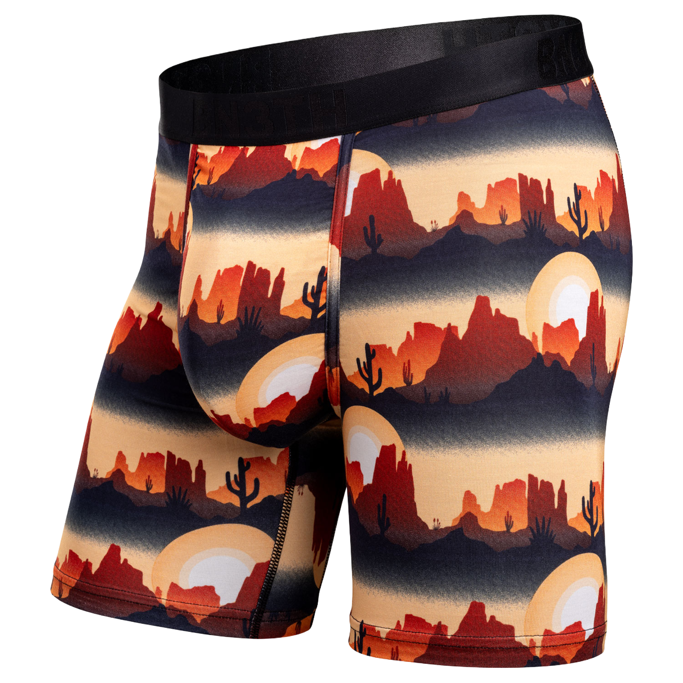 Classic Icon Boxer Brief Print