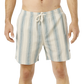 Classic Surf Weaver Volley Short