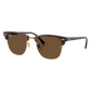 Clubmaster Sunglasses