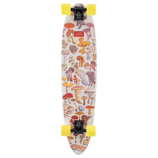 Dipper Forager Complete