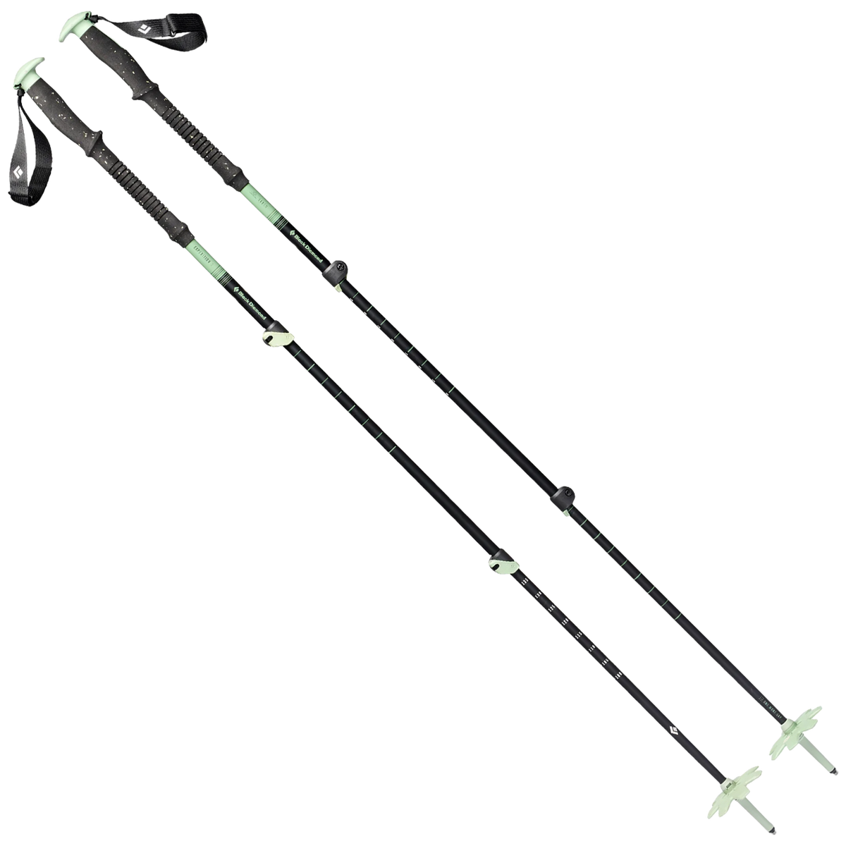 Expedition 3 Ski Poles