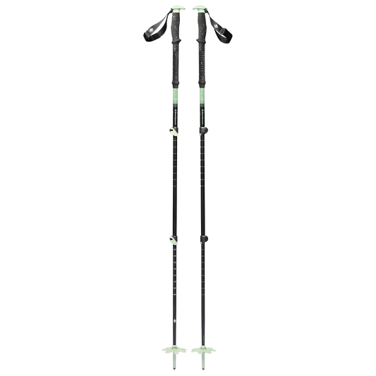 Expedition 3 Ski Poles 2026