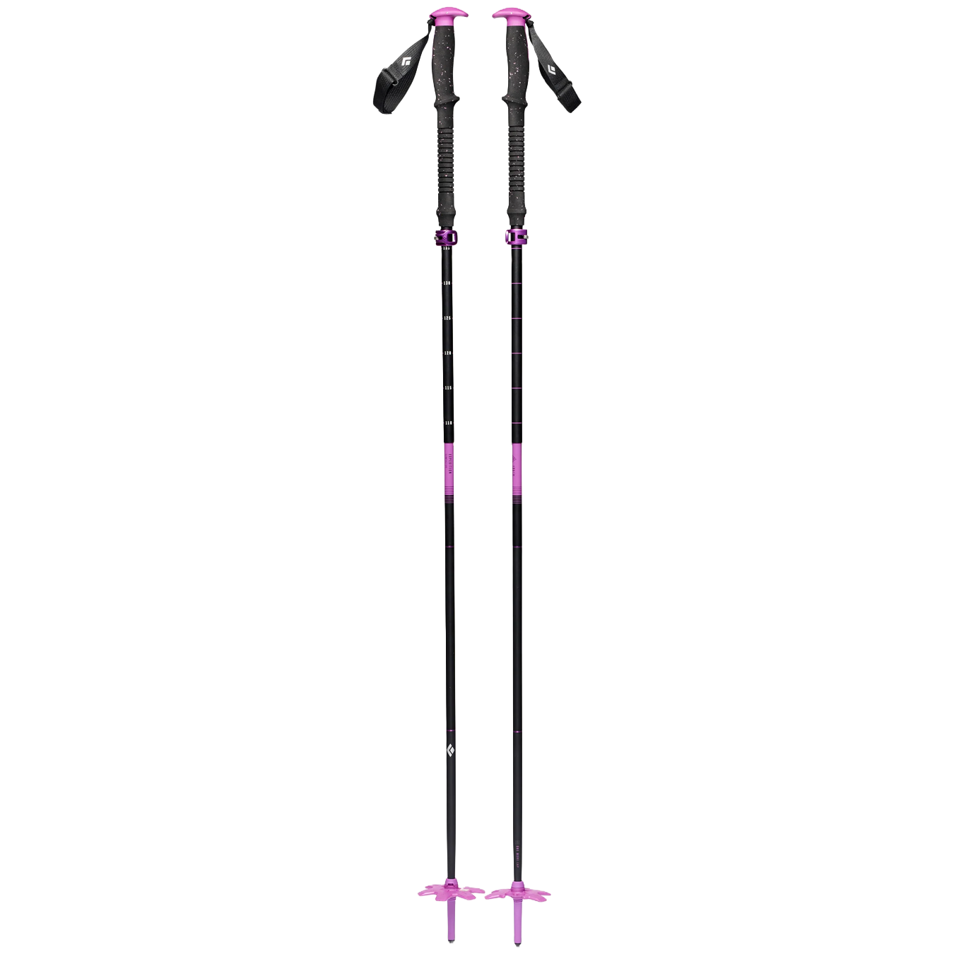 Expedition Compactor 2026