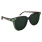 Grove Sunglasses - Emerald/G15 Polarized