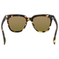 Grove Sunglasses - Wildcat Love