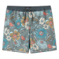 Hermosa Lined Volley 17" Boardshort