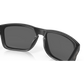Holbrook Sunglasses
