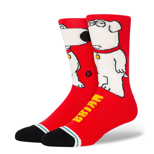 M The Dog Sock H23