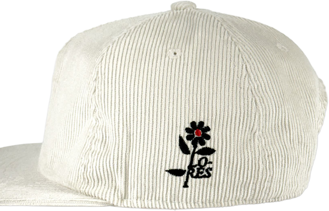 LR Hat
