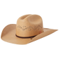 Lonestar Straw Cowboy Hat - Texas Gold