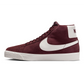 Zoom Blazer Mid Shoe 2024