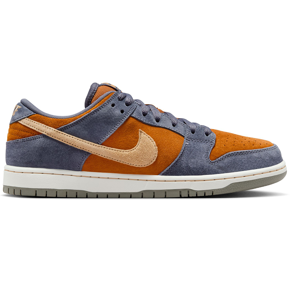 Dunk Low Pro Shoe 2024