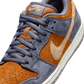 Dunk Low Pro Shoe 2024