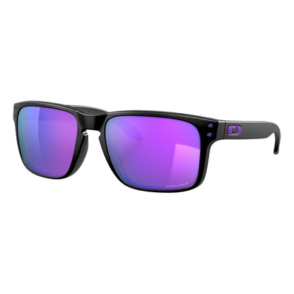 Holbrook Sunglasses 2024