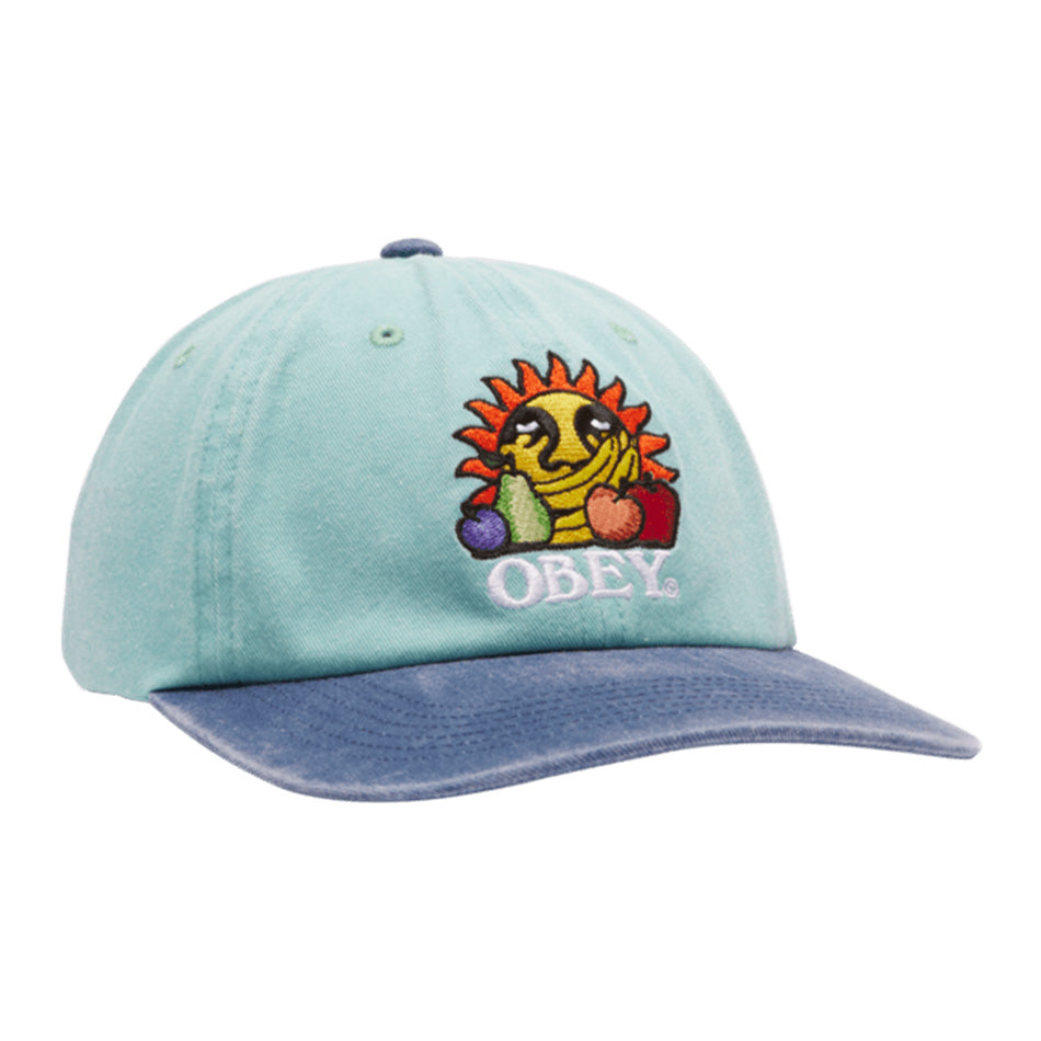 Pigment Fruits 6P Snapback Hat 2024