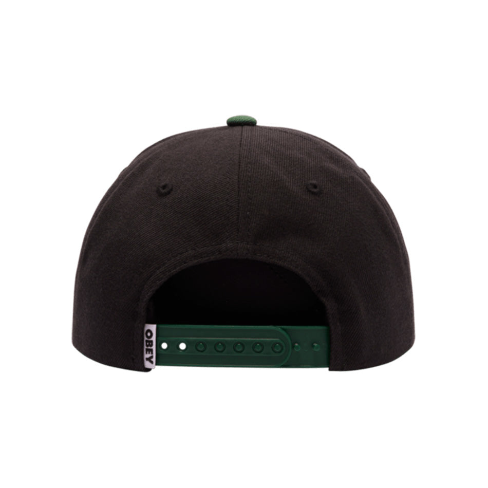 2 Tone Lowercase 6 Panel Cap 2024