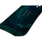 Orca Snowboard