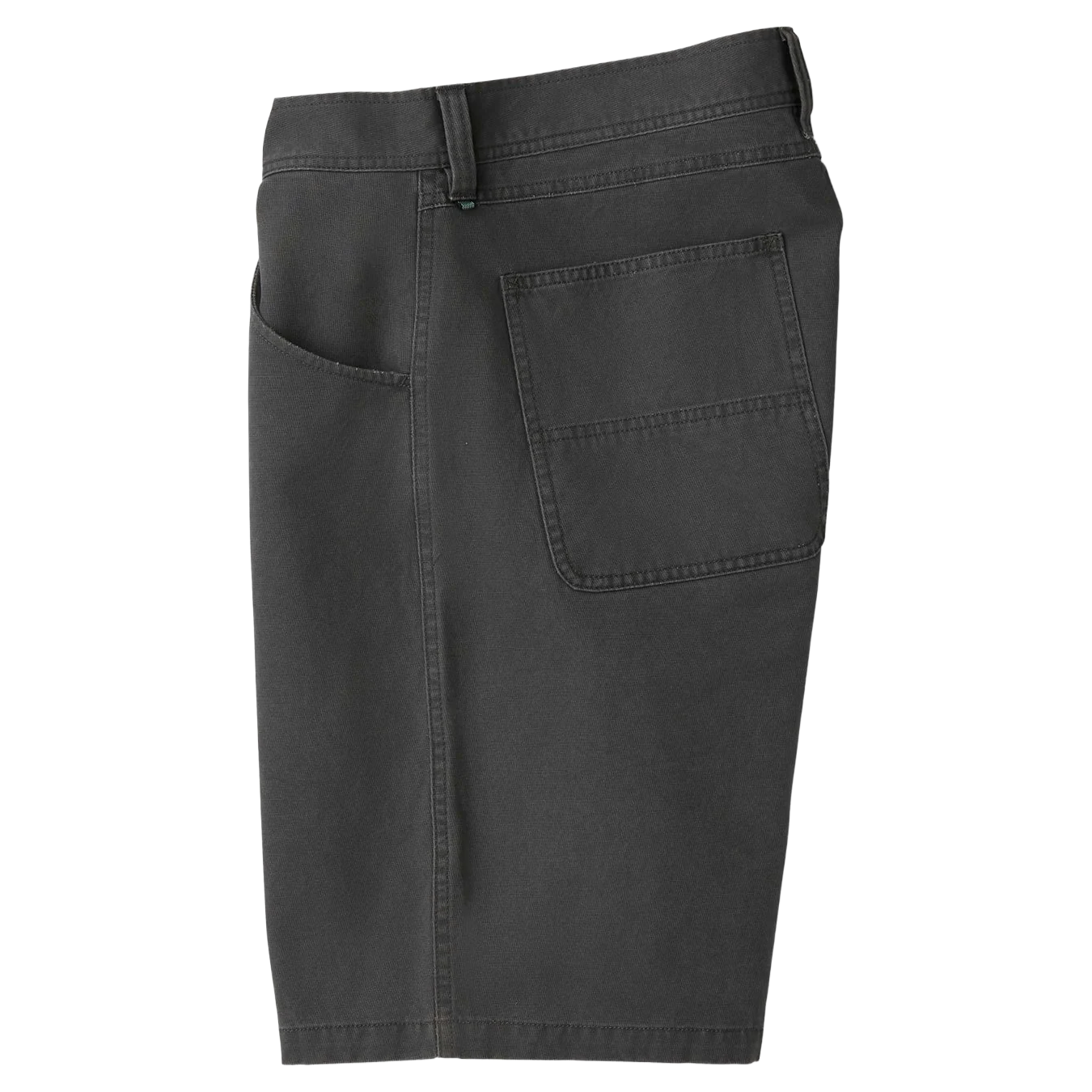Pismo Painter 21" Walkshort
