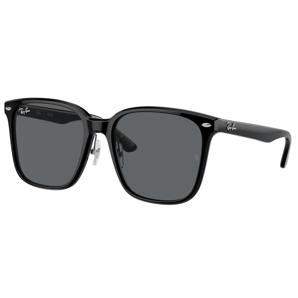 Rb2206D Sunglasses 2024