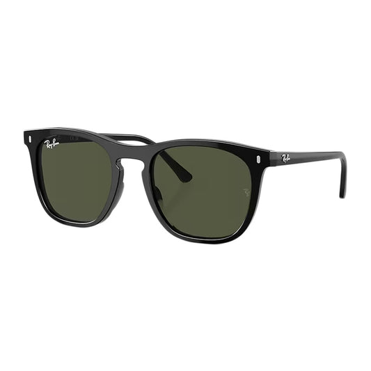 Rb2210 Sunglasses 2024