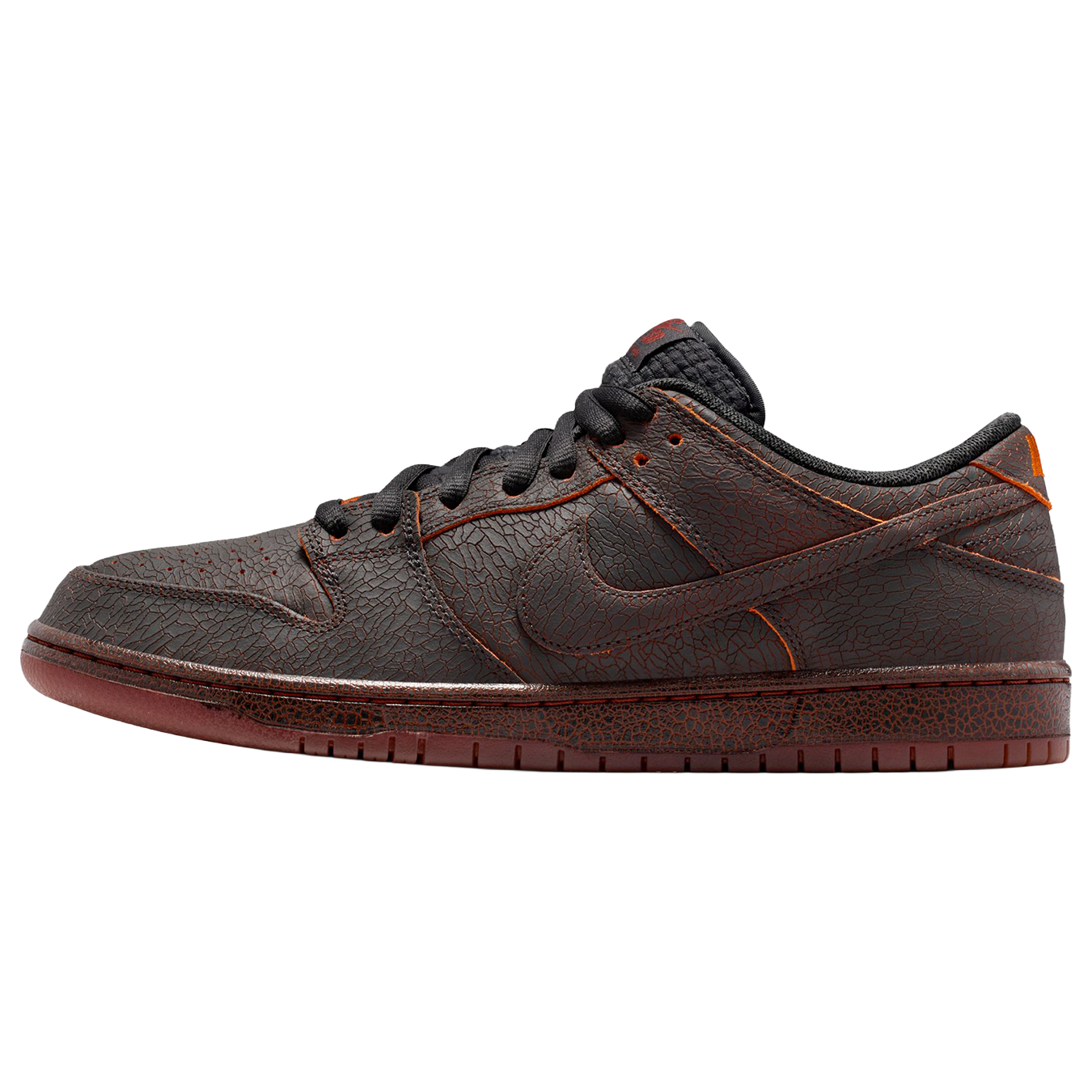 SB Dunk Low Pro Premium Shoe