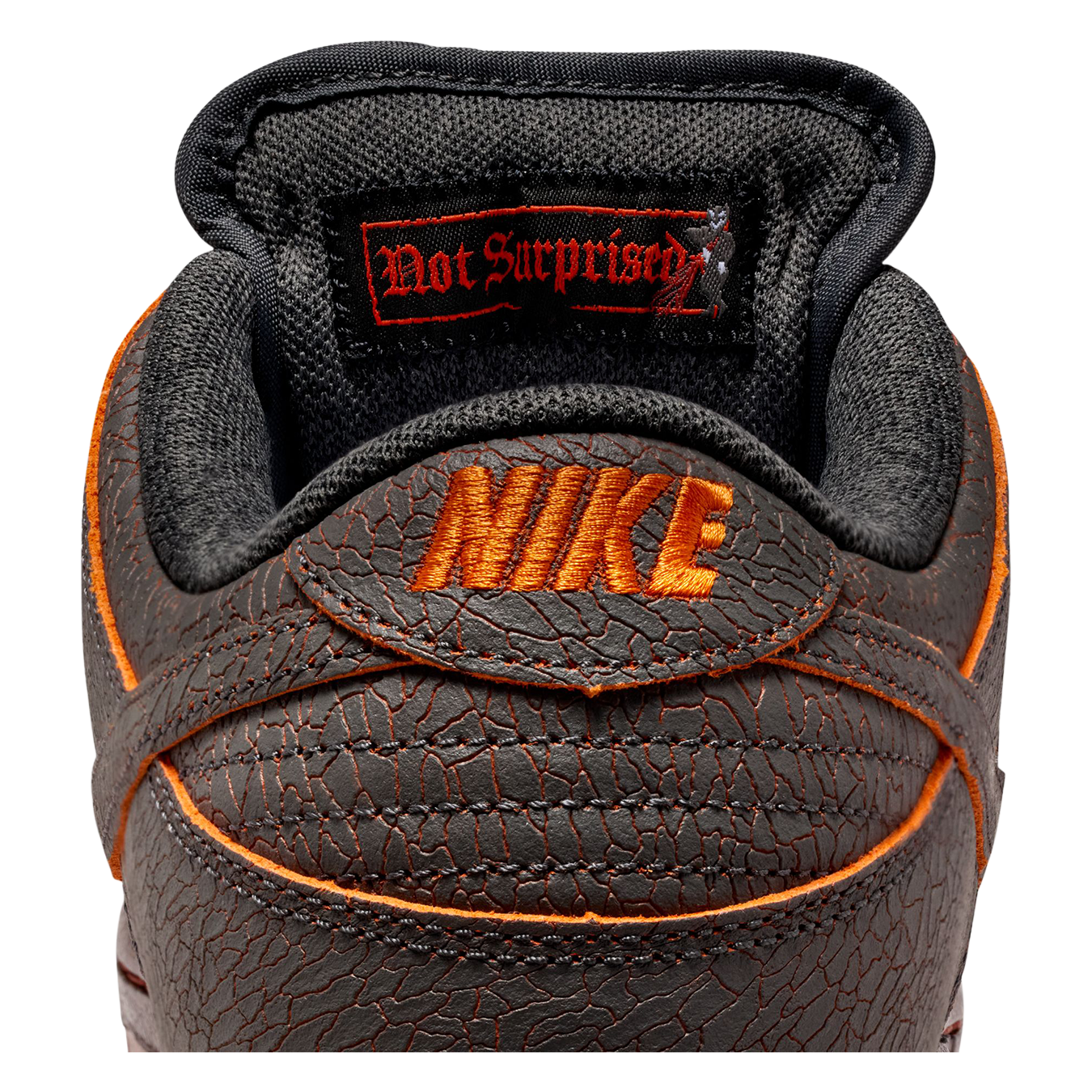 SB Dunk Low Pro Premium Shoe