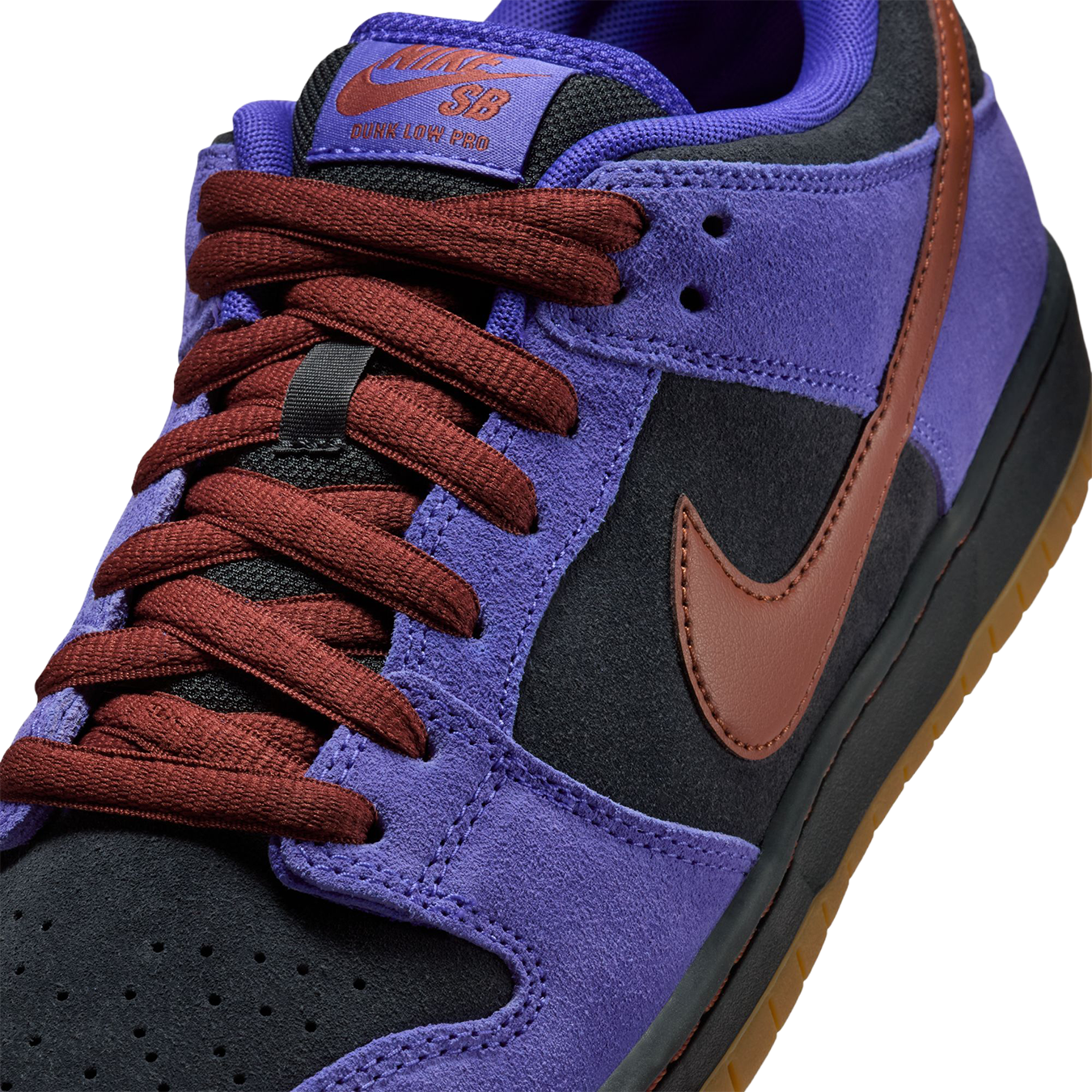 SB Dunk Low Pro Shoe