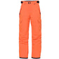 B Infinity Cargo Insulated Pant W24