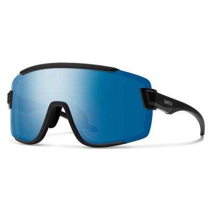 Wildcat Sunglasses 2024