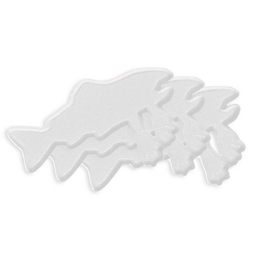 Salmon Arms Stomp Pad 2026