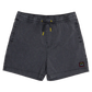 Sandbar Acid Boardshort