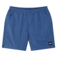 Service Mesh Swim Short
