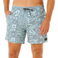 Sessions Volley Boardshort