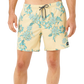 Sessions Volley Boardshort