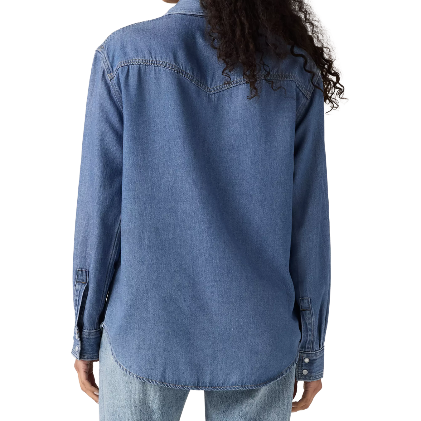 Teodora Western L/S Shirt
