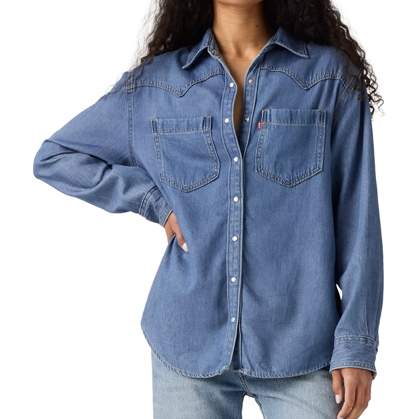 Teodora Western L/S Shirt