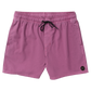 Va Pigment Elastic 16 Boardshort