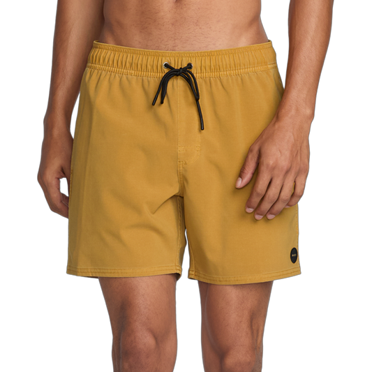 Va Pigment Elastic 16 Boardshort 2025