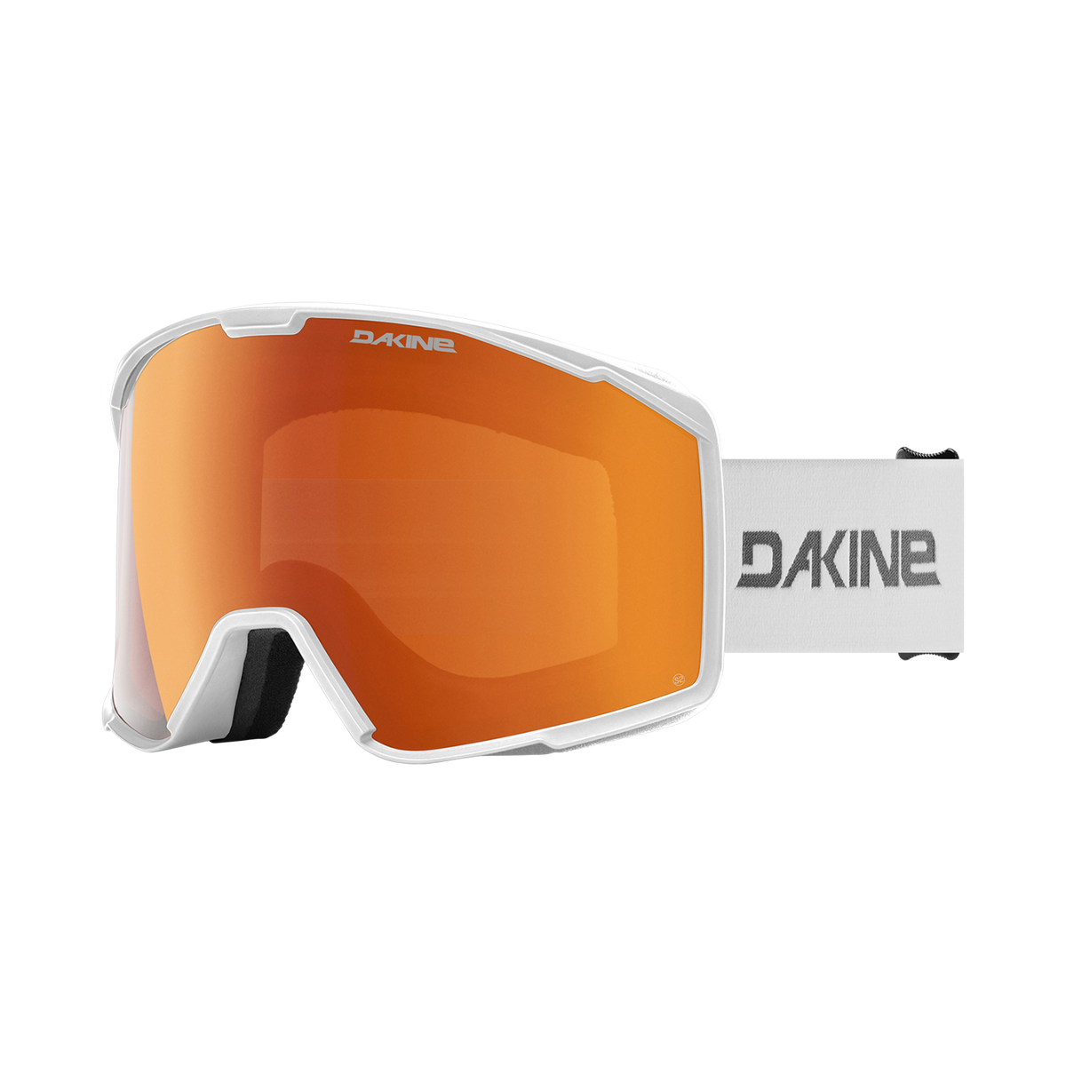 Venue Snow Goggle