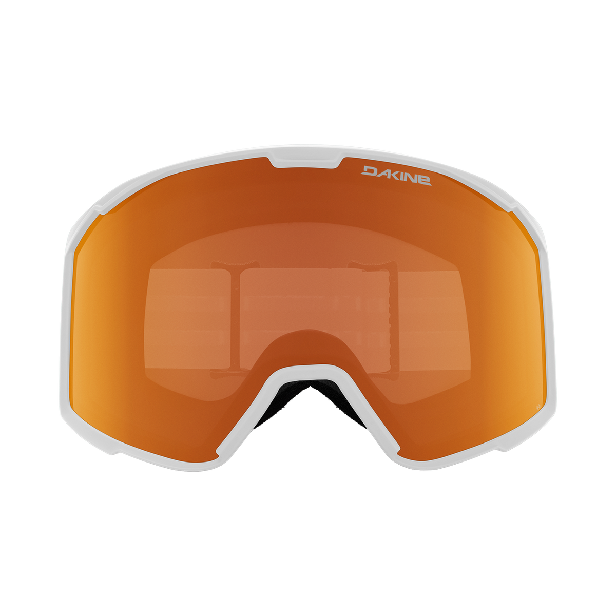 Venue Snow Goggle