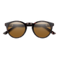 Westward Sunglasses