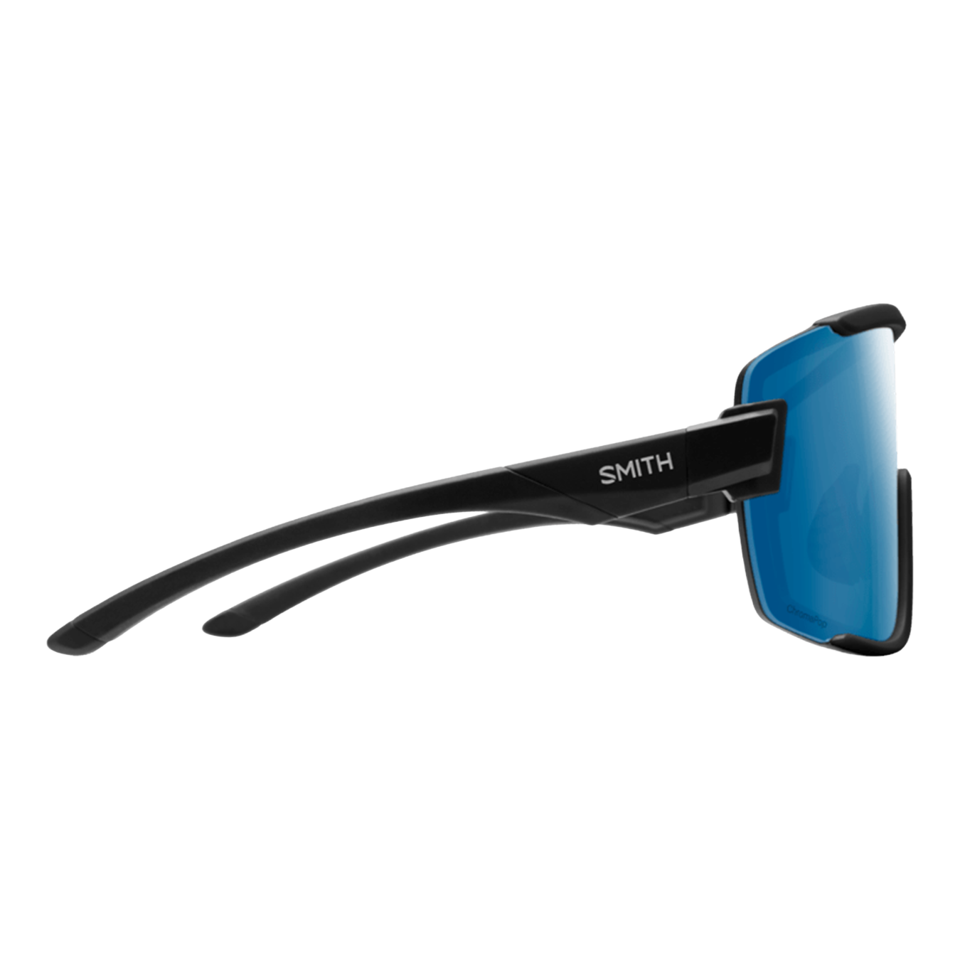 Wildcat Sunglasses