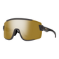 Wildcat Sunglasses