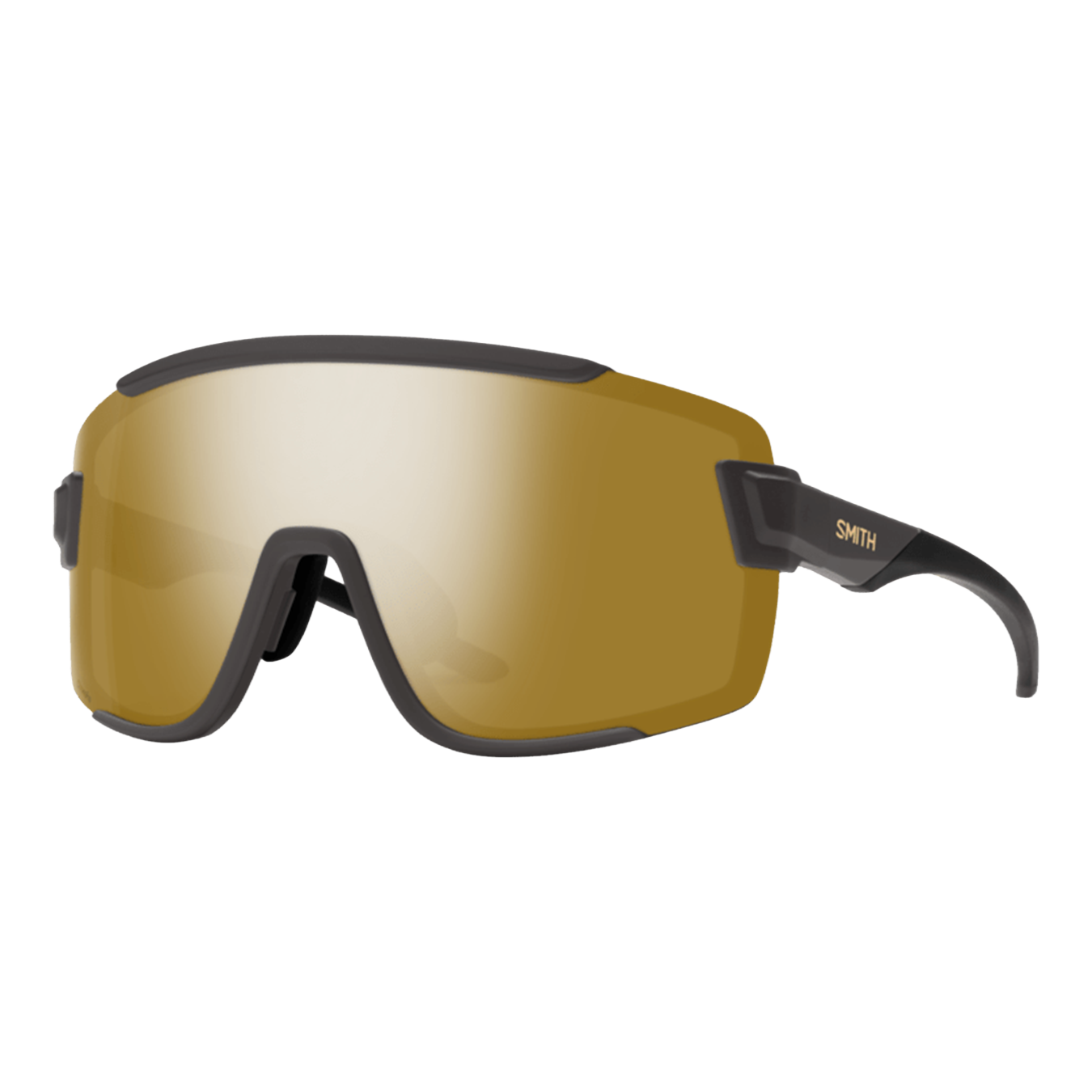 Wildcat Sunglasses