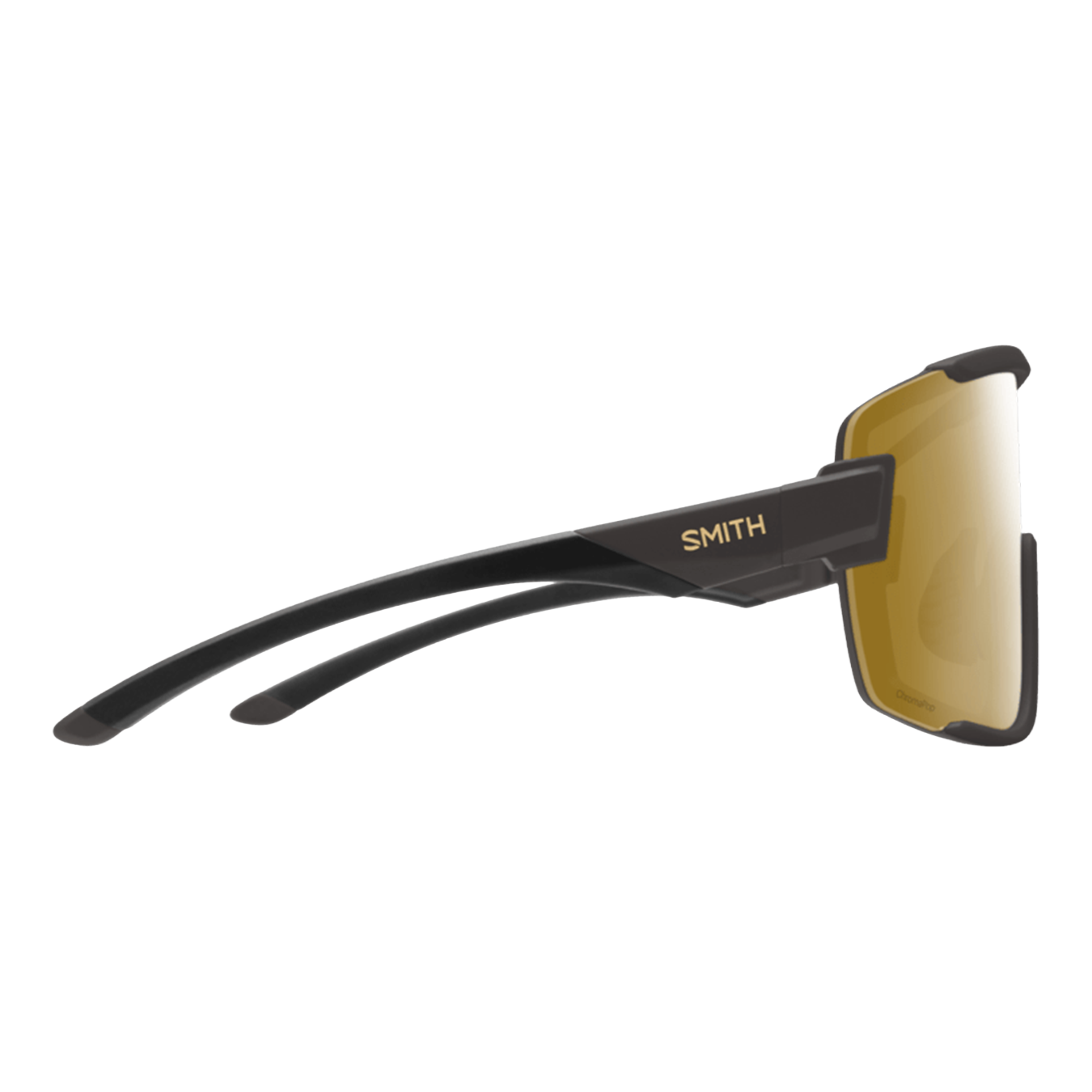 Wildcat Sunglasses