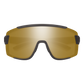 Wildcat Sunglasses