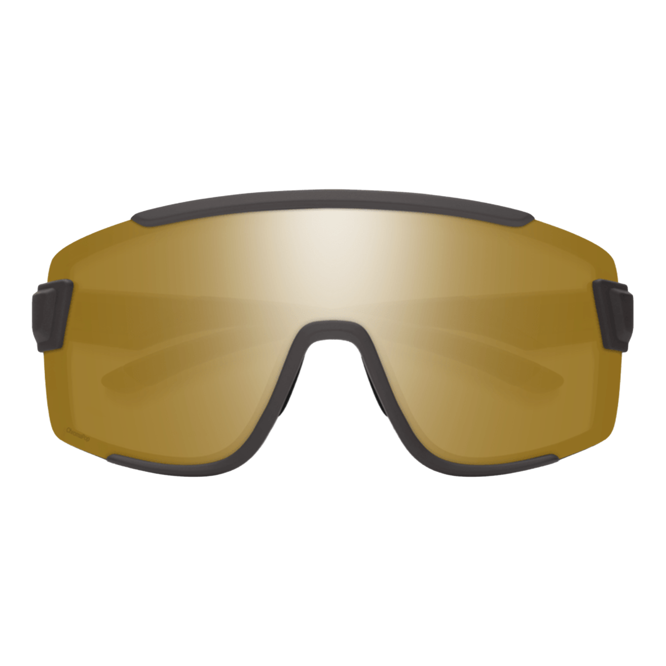 Wildcat Sunglasses