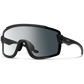 Wildcat Sunglasses 2025