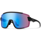 Wildcat Sunglasses 2025