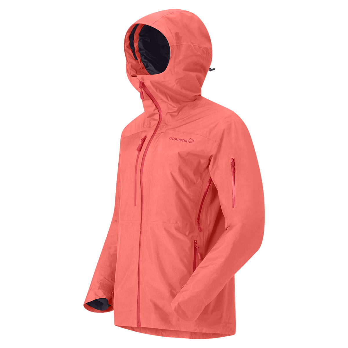 Ws Lofoten Gore-Tex Insulated Jacket
